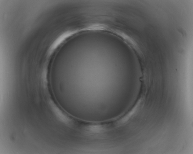 X0000115581422200911101138