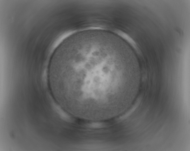 X0000115581423200911101138