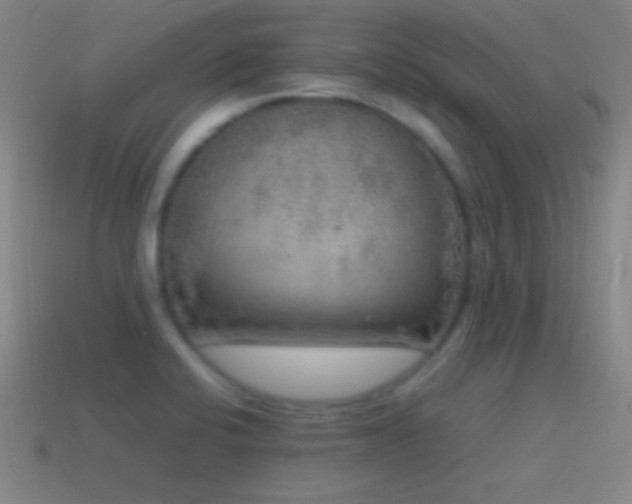 X0000115581424200911101138