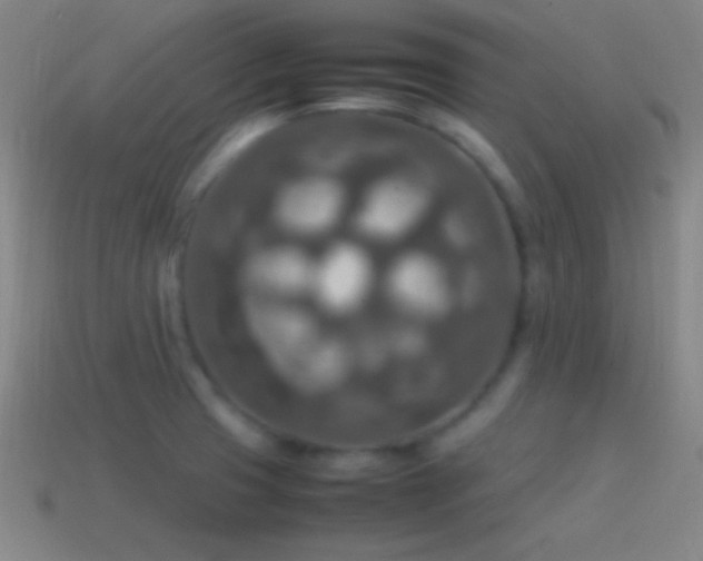 X0000115581425200911101138