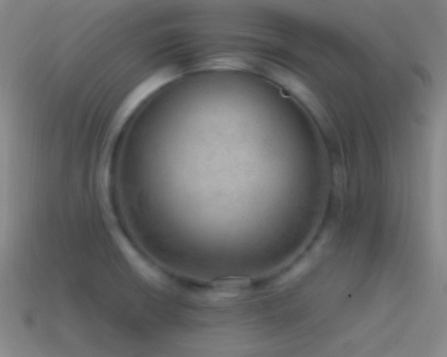 X0000115581426200911101138