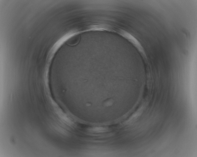 X0000115581427200911101138