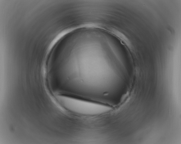 X0000115581428200911101138