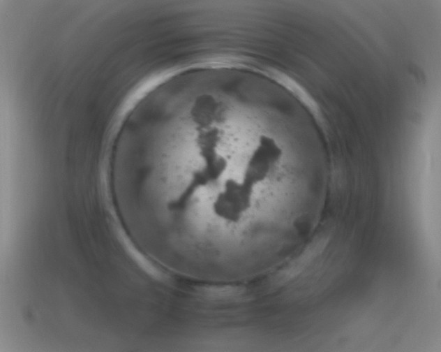 X0000115581429200911101138