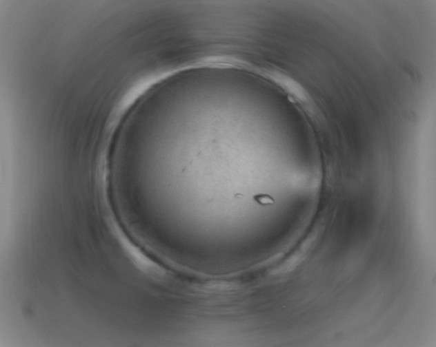 X0000115581430200911101138