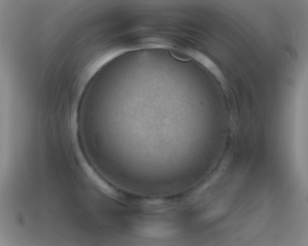 X0000115581431200911101138