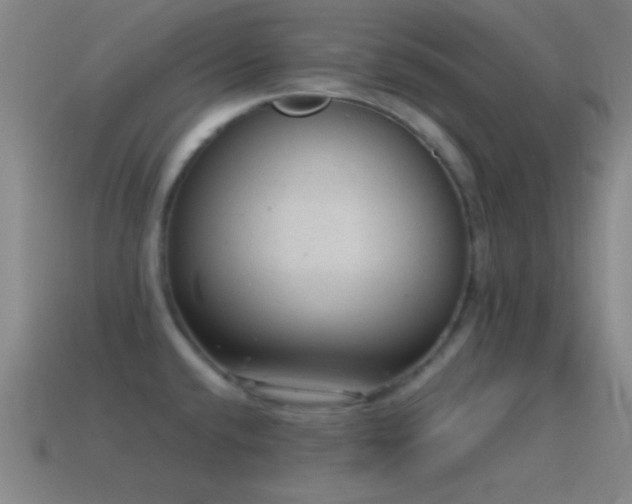 X0000115581432200911101139