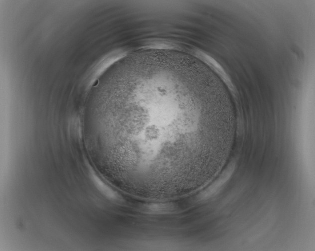 X0000115581433200911101139