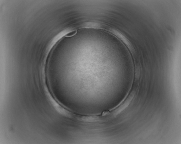 X0000115581434200911101139