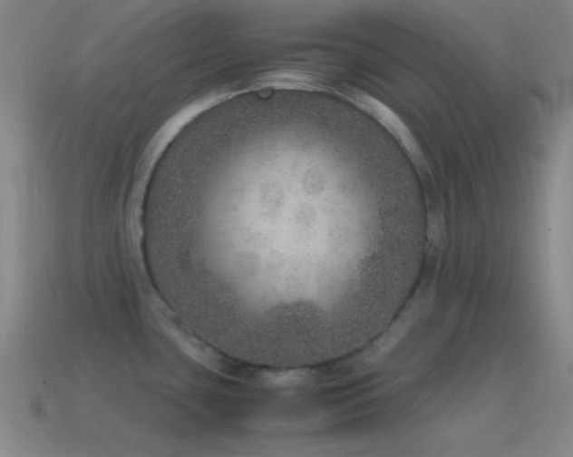 X0000115581435200911101139