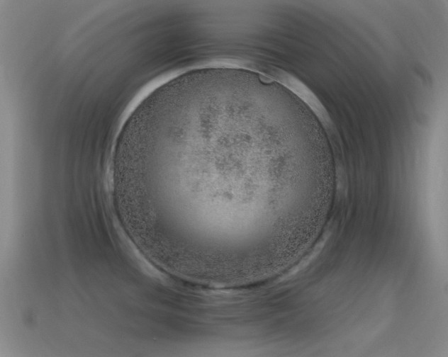 X0000115581436200911101139