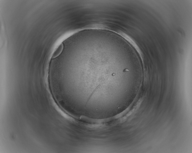 X0000115581437200911101139