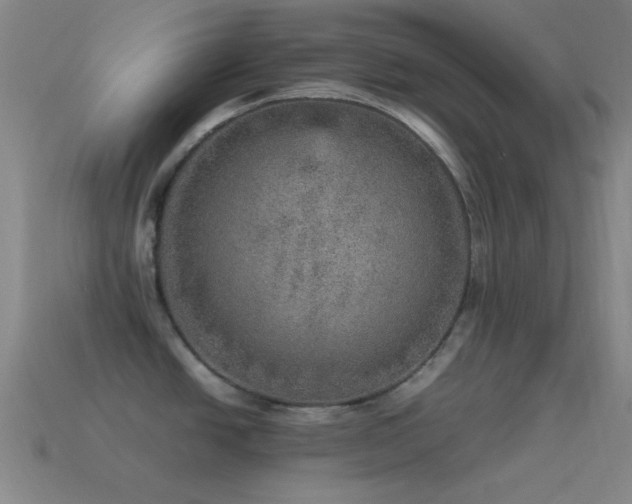 X0000115581438200911101139