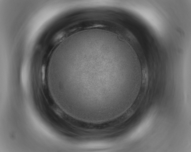 X0000115581439200911101139