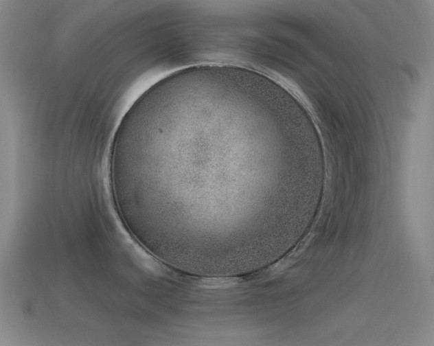 X0000115581440200911101139