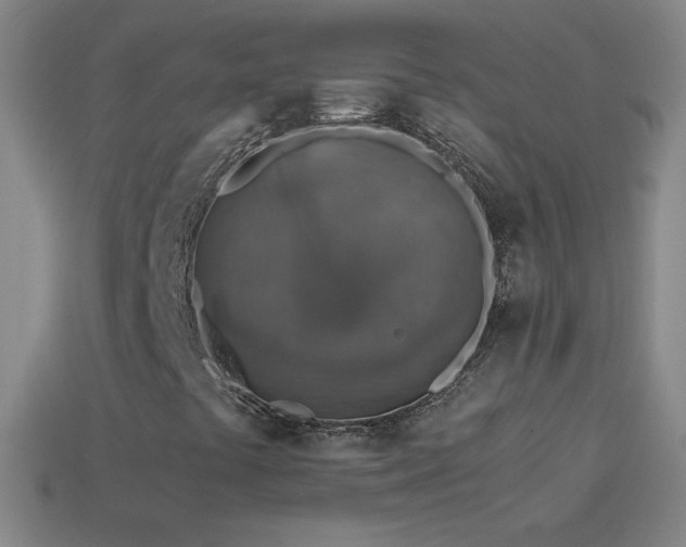 X0000115581441200911101138