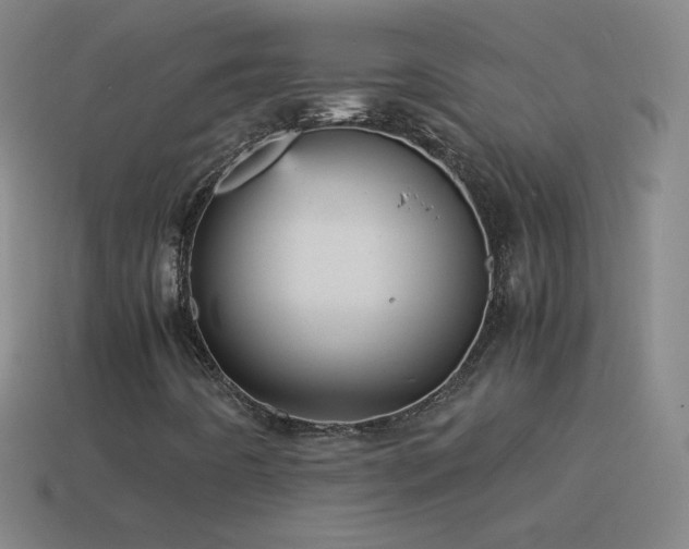 X0000115581442200911101138