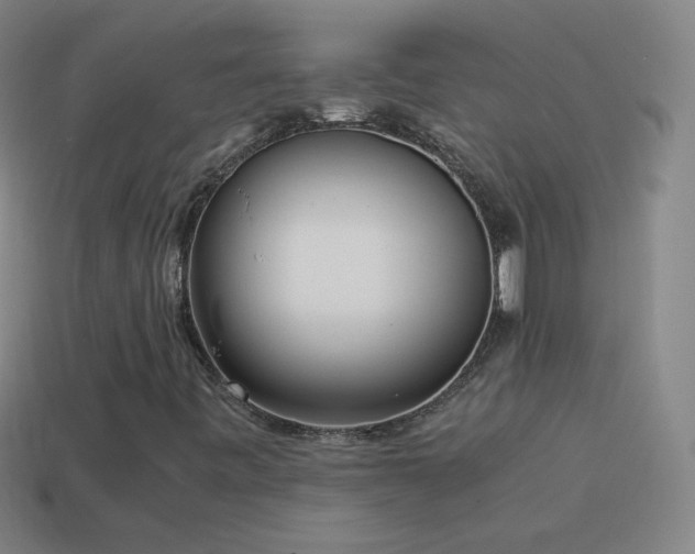 X0000115581443200911101138