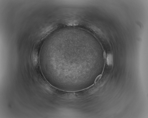 X0000115581444200911101138