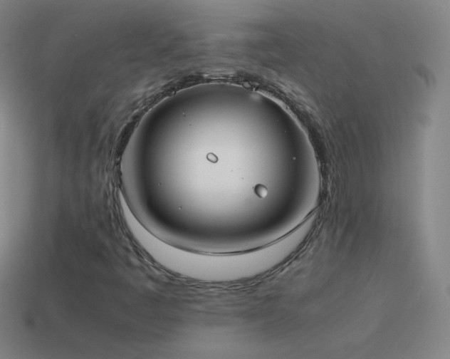 X0000115581445200911101138