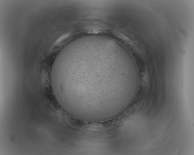 X0000115581446200911101138