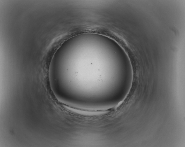 X0000115581447200911101138