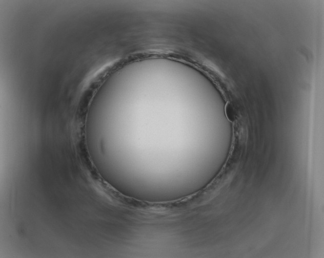 X0000115581448200911101138