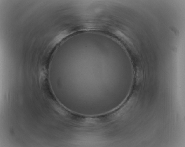 X0000115581449200911101138