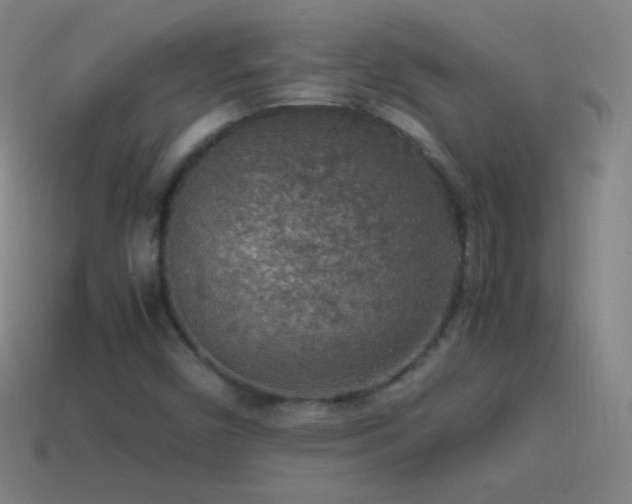 X0000115581450200911101138