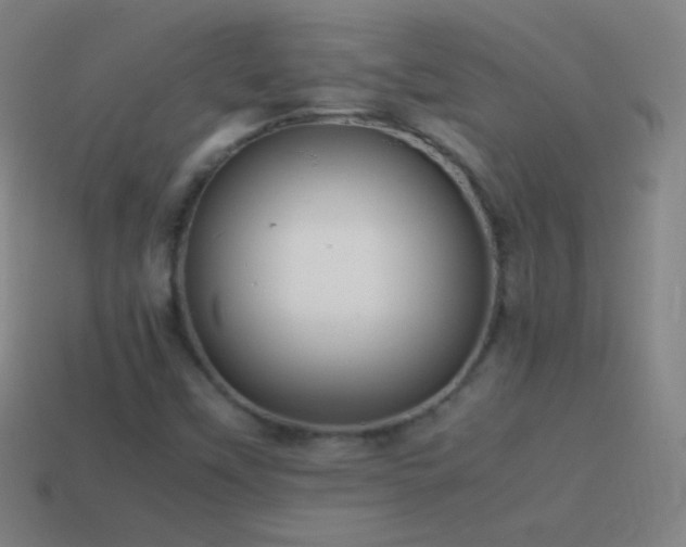 X0000115581451200911101138