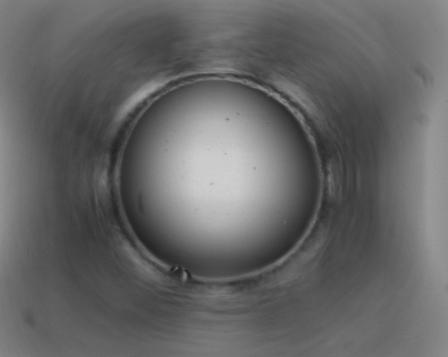 X0000115581452200911101138