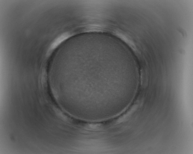 X0000115581453200911101138