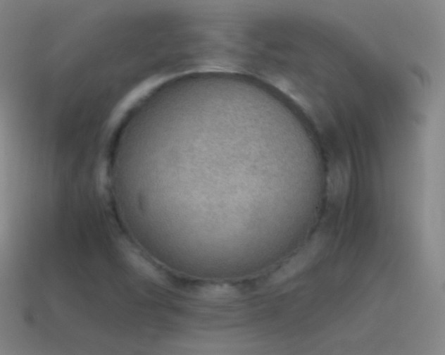 X0000115581454200911101138