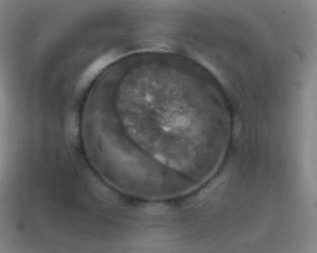 X0000115581455200911101138