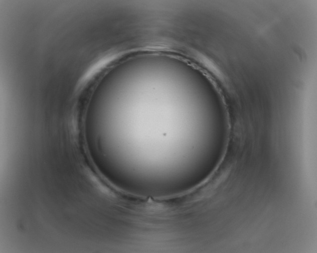 X0000115581456200911101138