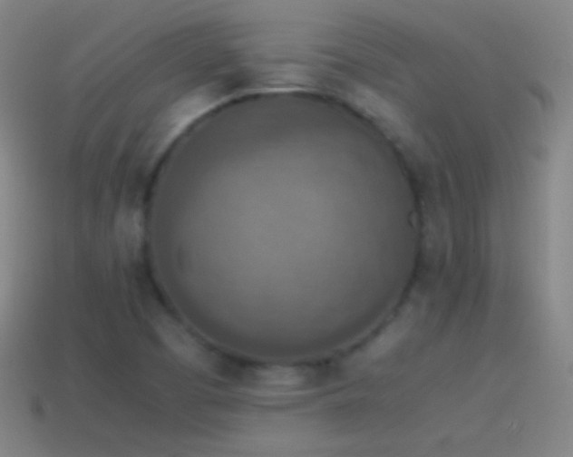 X0000115581457200911101138