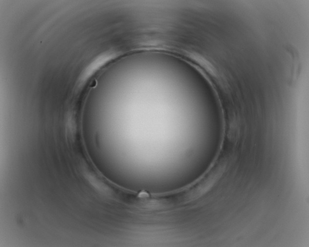 X0000115581458200911101138