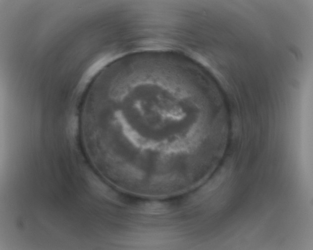 X0000115581459200911101138