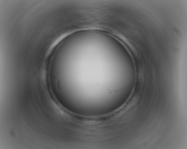 X0000115581460200911101138