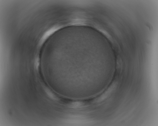 X0000115581461200911101138