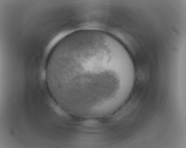 X0000115581462200911101138