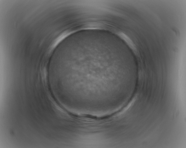 X0000115581465200911101138