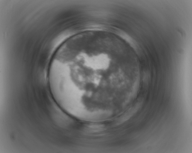 X0000115581466200911101138