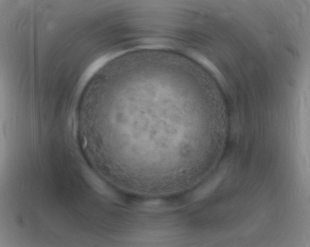 X0000115581467200911101138