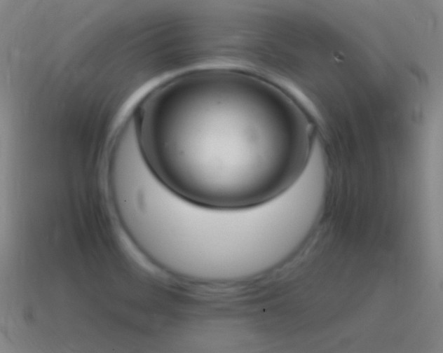 X0000115581468200911101138