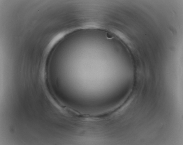 X0000115581469200911101138