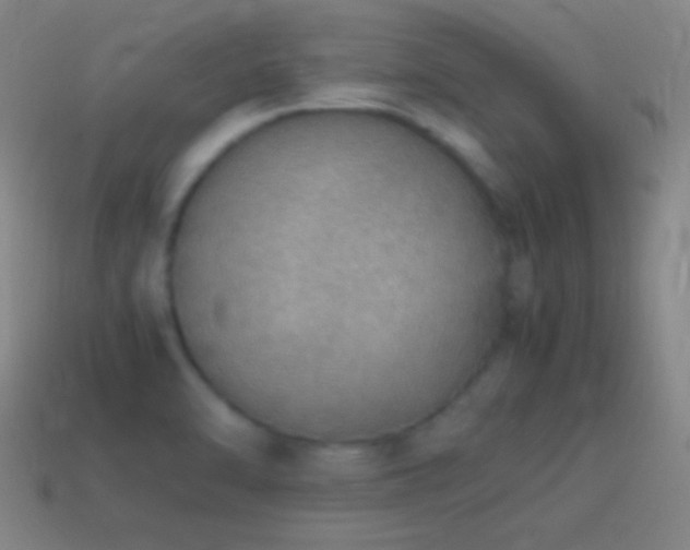 X0000115581470200911101138