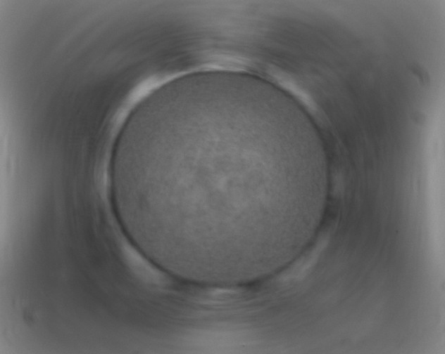 X0000115581471200911101138