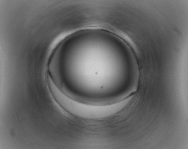 X0000115581472200911101138