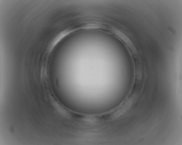 X0000115581473200911101138